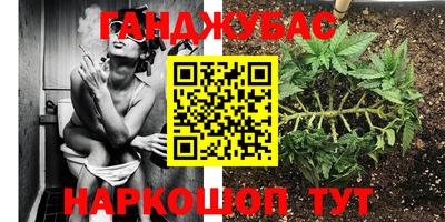 эйфоретик Гусев