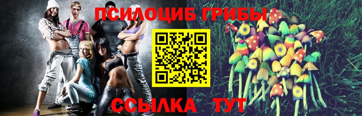Куйбышев  Галлюциногенные грибы Psilocybe  Псилоцибиновые грибы Psilocybe  Вход с VPN 