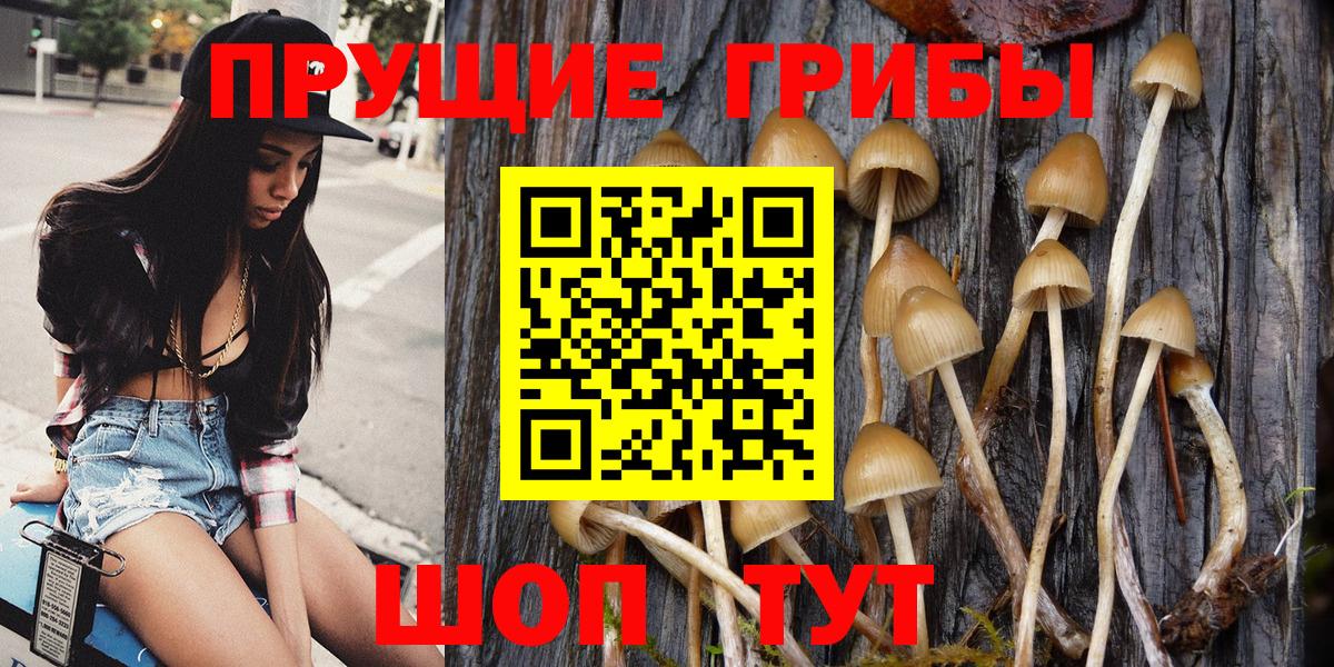 Галлюциногенные грибы Cubensis Куйбышев